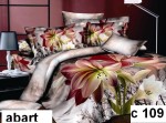 Komplet pościeli FOTO EFEKT 3D, 200X220  W 254, 3 części