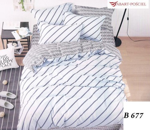 B_667.jpg