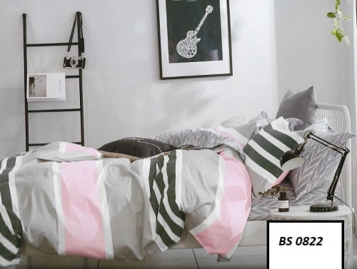 BS 0822.jpg