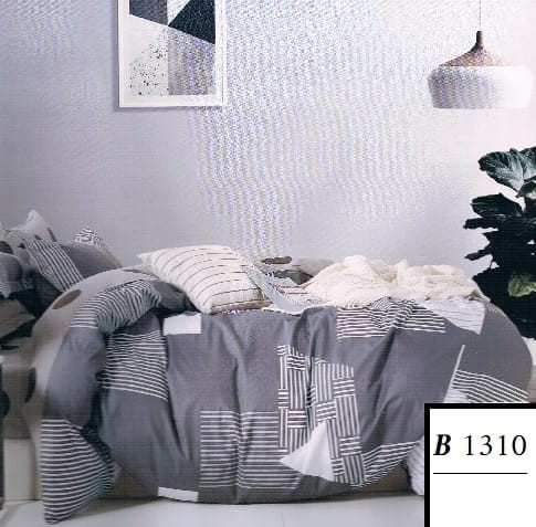 B_1310.jpg