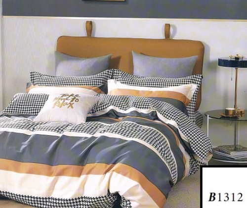B_1312.jpg