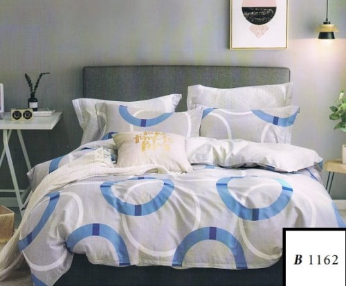 B_1162.jpg