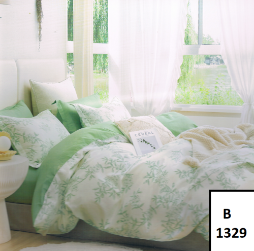 B_1329.png