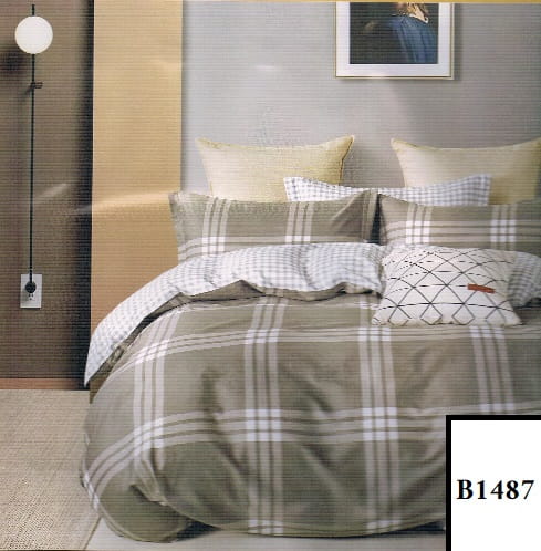 B_1487.jpg