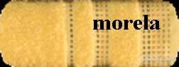 reczniki_pola_zolty.png