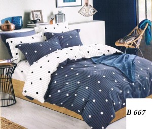 Komlet pościeli 200x220  bawełna 100% satynowa  3cz. pościel    B 667
